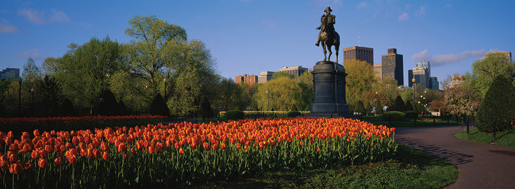 Jardines de George Washington Lienzo