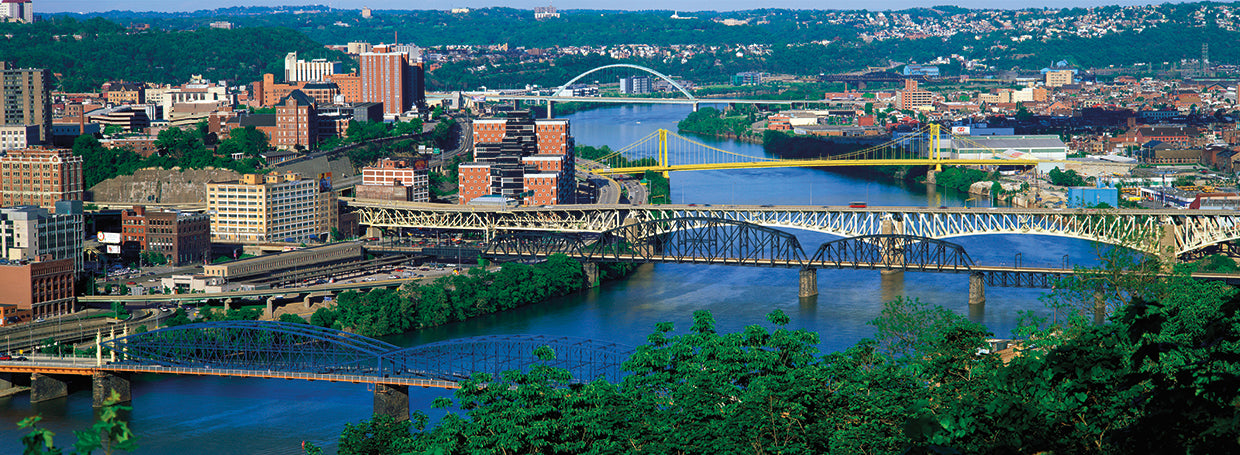 Pittsburgh from Above