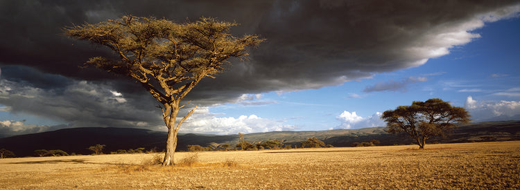 Nubes de tormenta de tanzania Lienzo