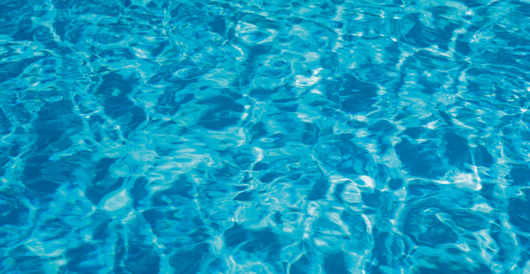 Natación en Sacramento Lienzo