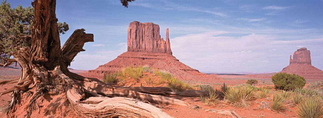 Paisaje monumental Lienzo