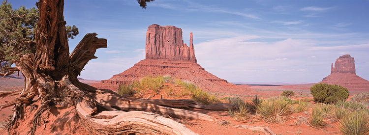 Paisaje monumental Lienzo