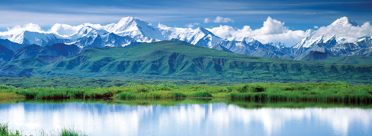 Lush Green Denali Lienzo