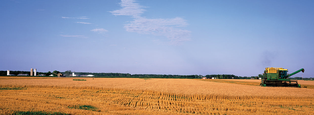 Agricultura de Illinois Lienzo
