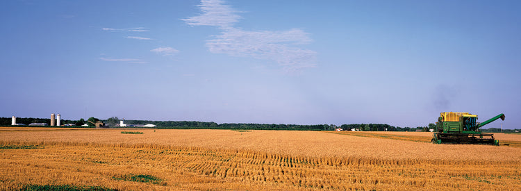 Agricultura de Illinois Lienzo