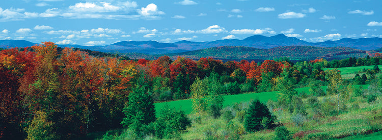 Autumn in Vermont