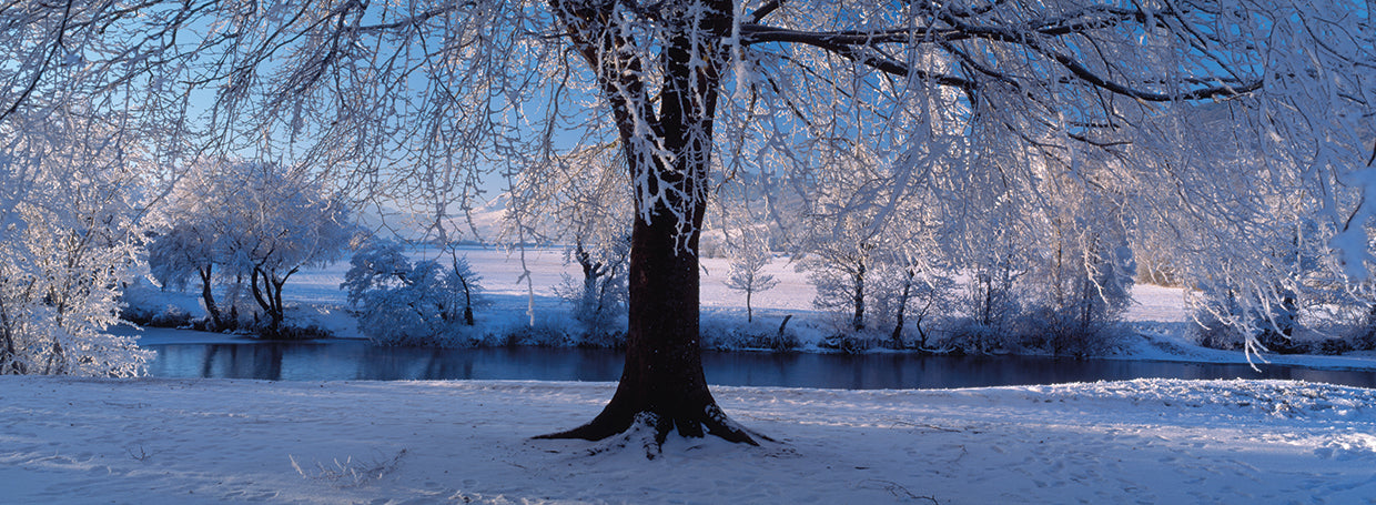 Invierno escocés Lienzo
