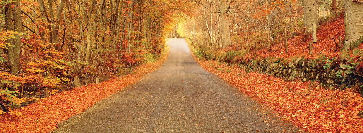 Autumn Road in Scotland