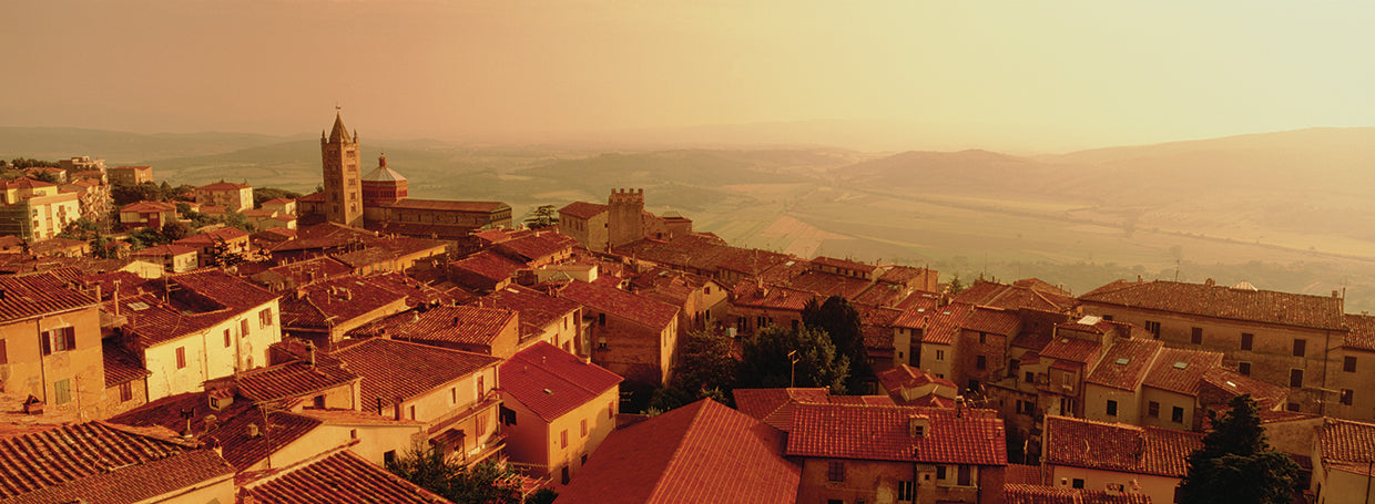 Tuscan Viewpoint
