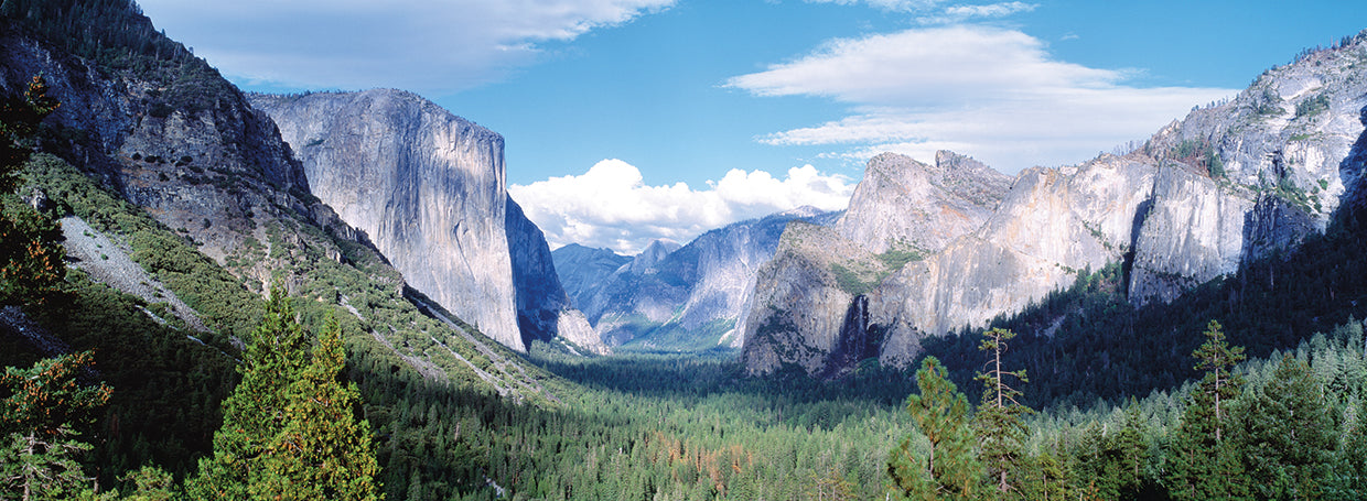 Yosemite verde Lienzo