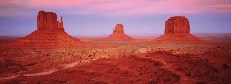Pink Evening Monument Valley