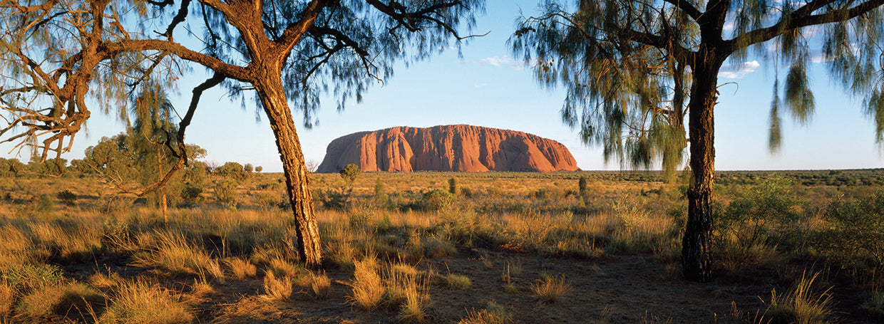 Vistas de Ayers Rock Lienzo