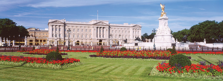 Flores del Palacio de Buckingham Lienzo