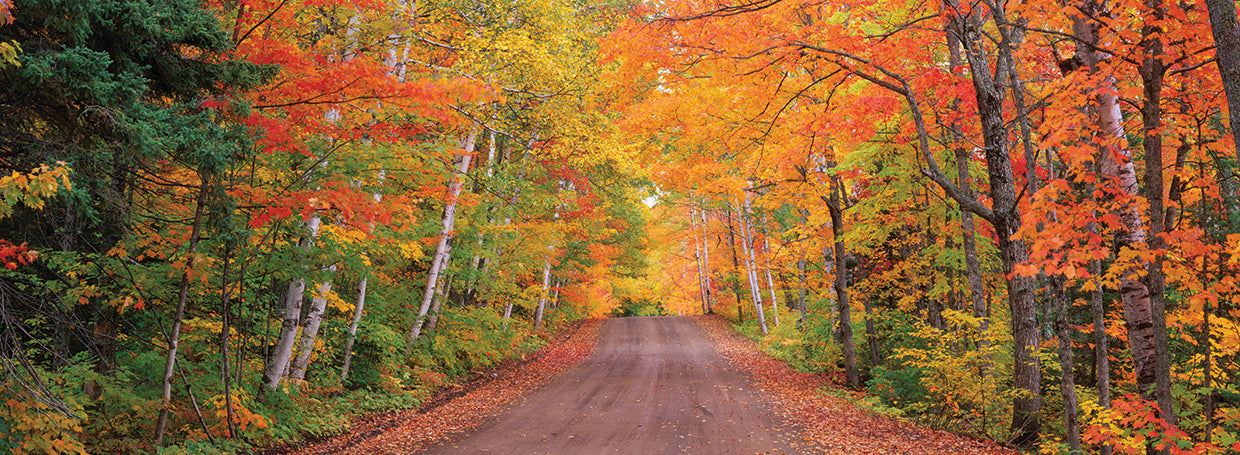 Copper Harbor Autumn