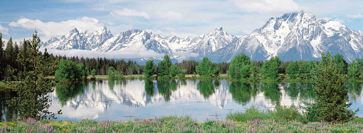 Primavera en Grand Teton Lienzo