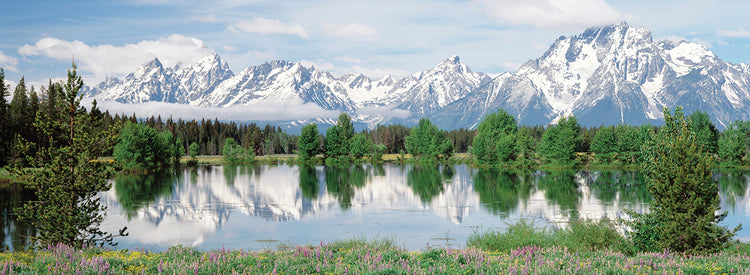 Primavera en Grand Teton Lienzo