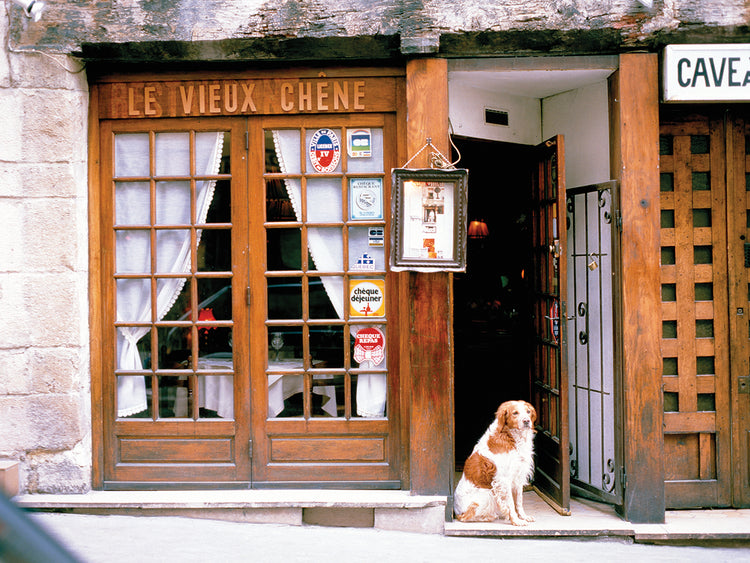 Dulce puerta parisina Lienzo