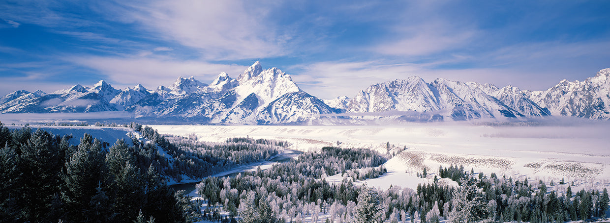 Snow Covered Teton