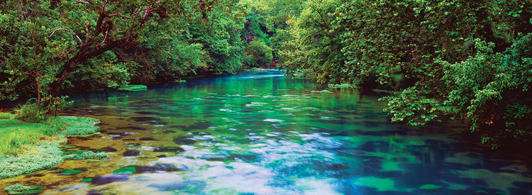 Gran río de primavera Lienzo