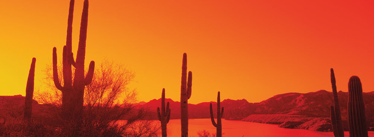 Arizona naranja y rojo Lienzo