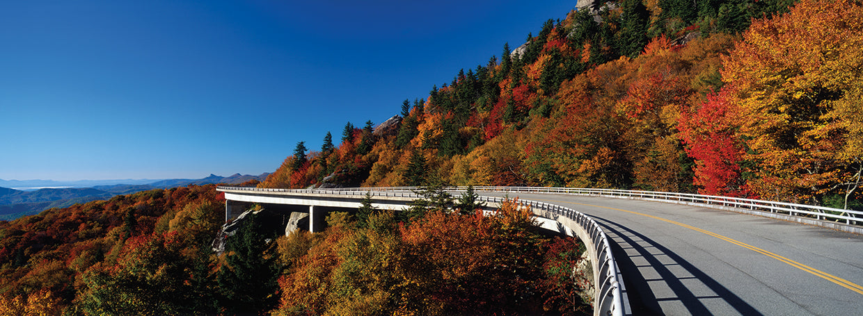 Linn Cove Viaduct