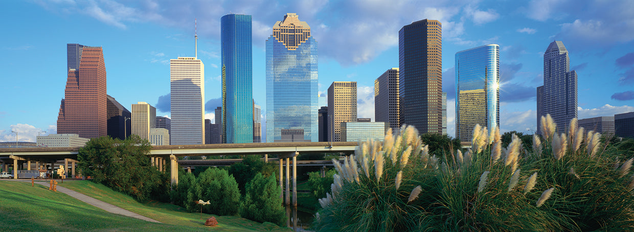 Houston contra el cielo Lienzo