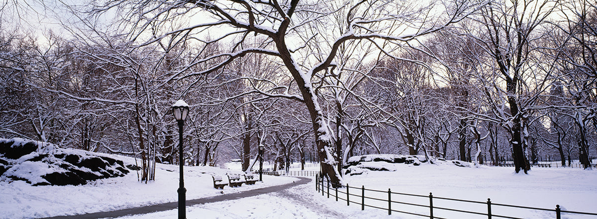 Snow on Central Park