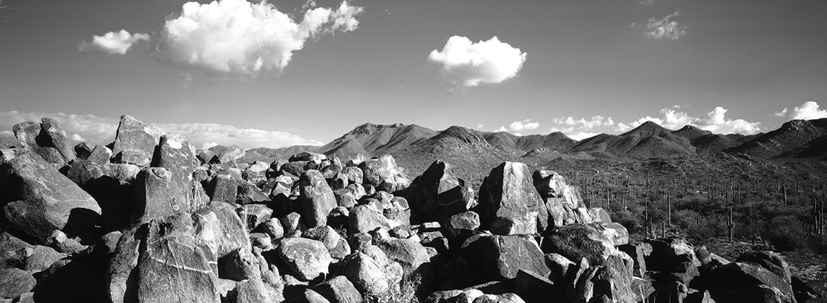 Tucson Boulder Landscape