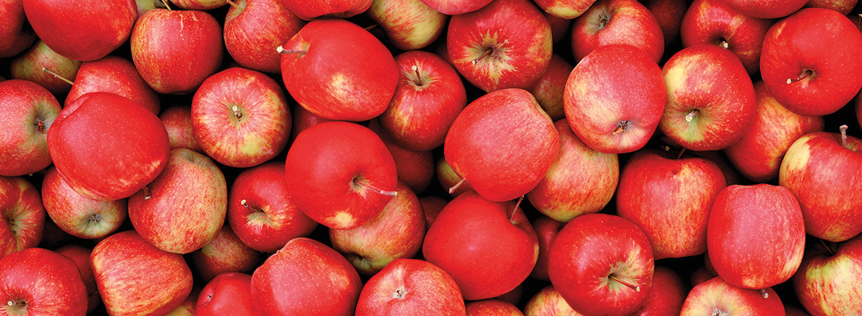 Fresh Red Apples