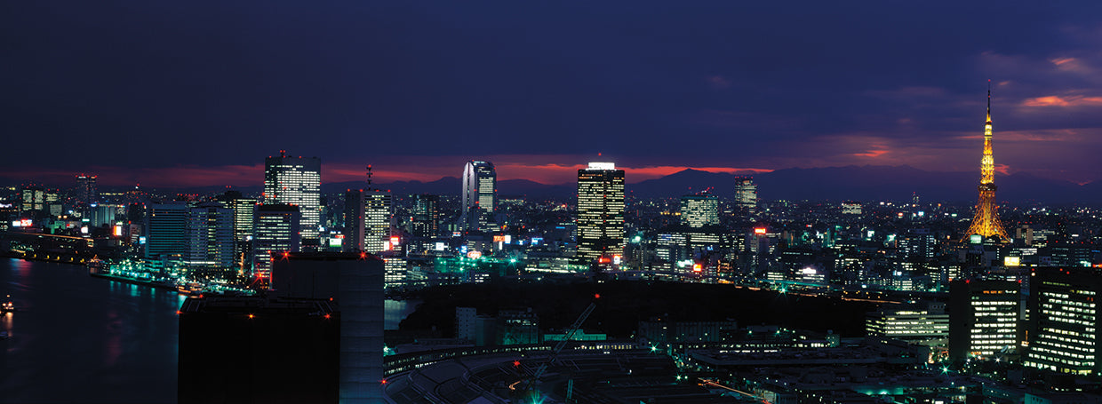 Luces de Tokio Lienzo