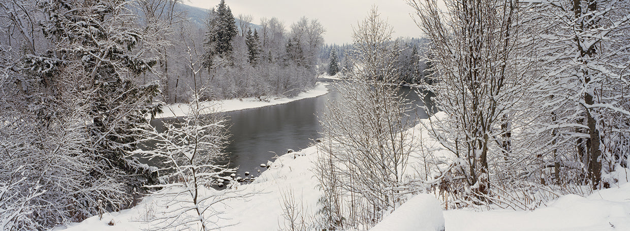 Nieve de Crescent Valley Lienzo