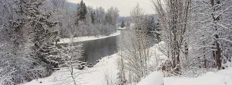 Nieve de Crescent Valley Lienzo
