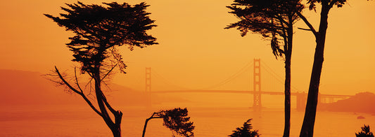 Orange Morning, Golden Gate