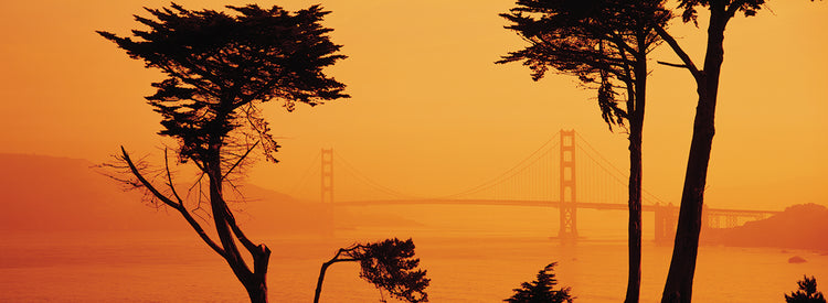 Mañana naranja, Golden Gate Lienzo