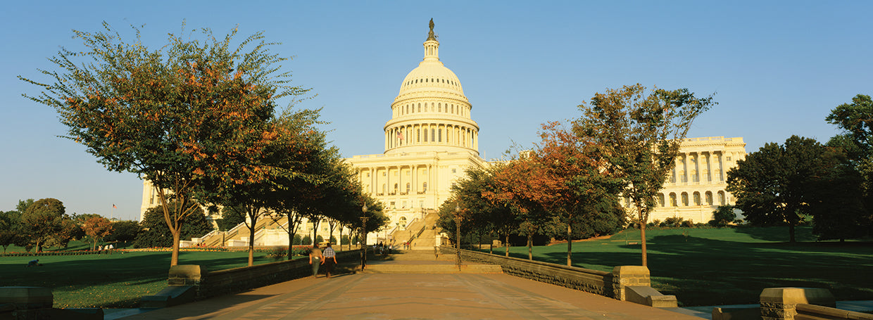 Edificio del Capitolio de los Estados Unidos Lienzo
