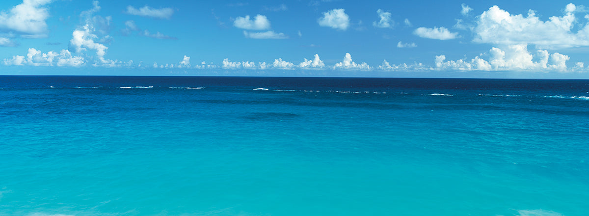 Bermuda Ocean Waters