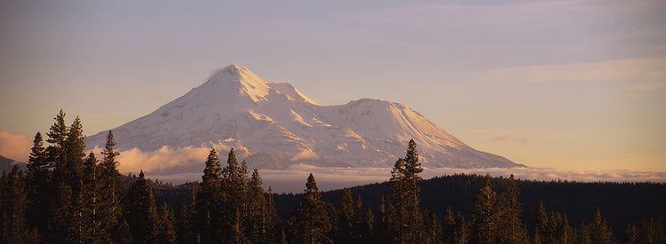 Monte Shasta al anochecer Lienzo