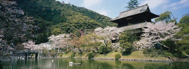 Paisaje de estanque japonés Lienzo