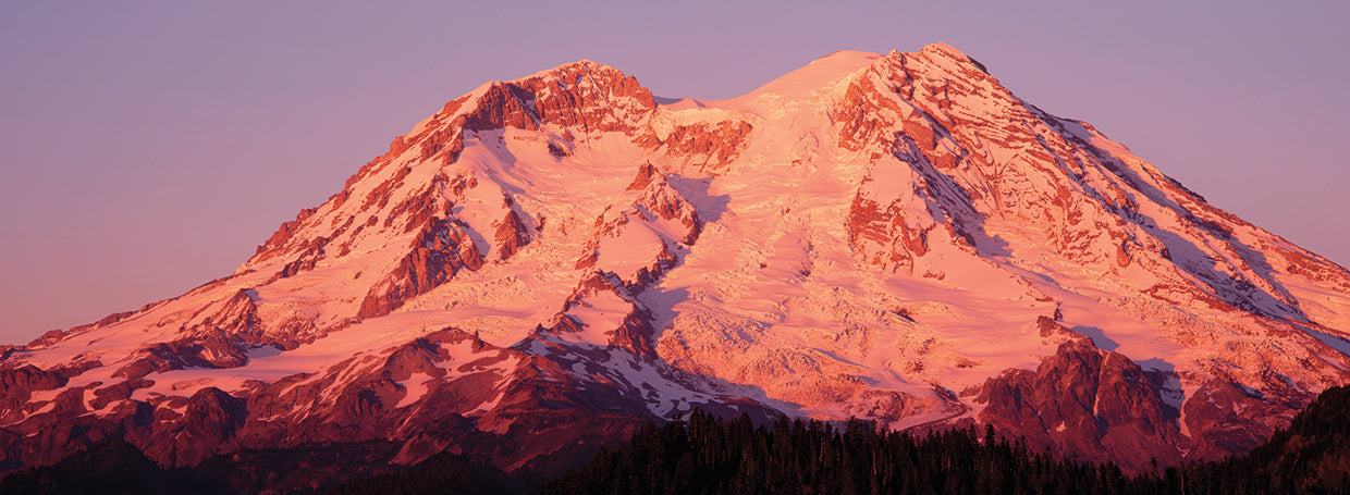 Pink Mount Rainier