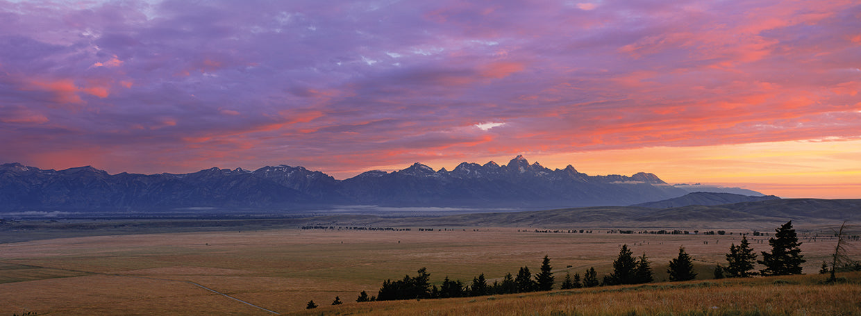 Anochecer de Jackson Hole Lienzo