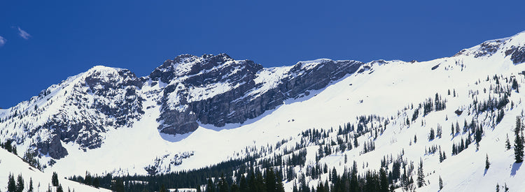 Little Cottonwood Canyon Snow
