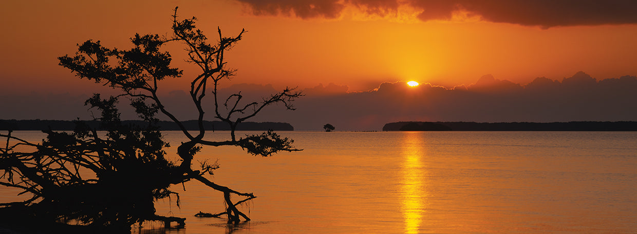 Amanecer sobre la bahía de Florida Lienzo