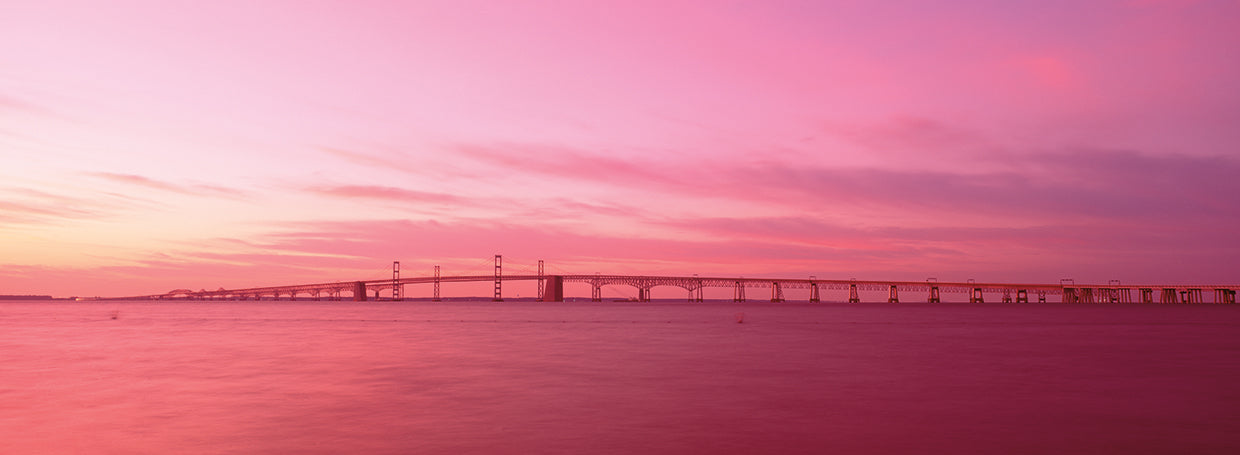 Rosa sobre la bahía de Chesapeake Lienzo