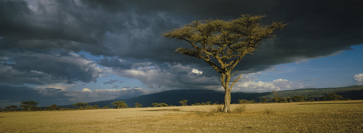 Tanzania Storm Clouds