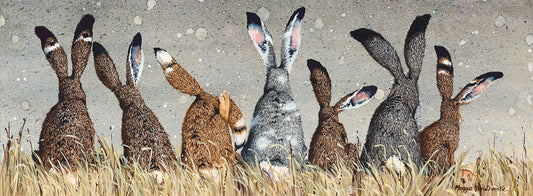 The So and So Hares Canvas Print