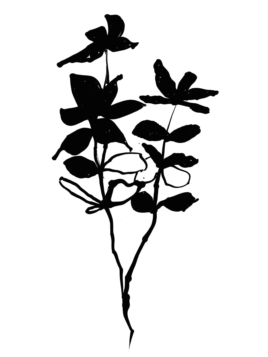 Silhouette Floral I