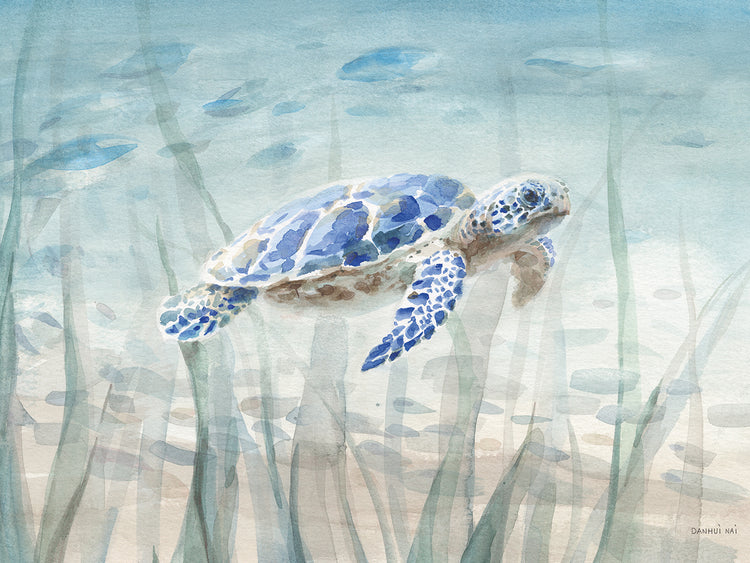 Undersea Turtle
