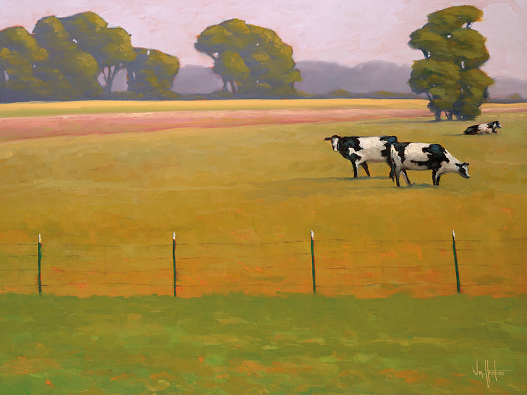 Black & White Among the Green & Gold