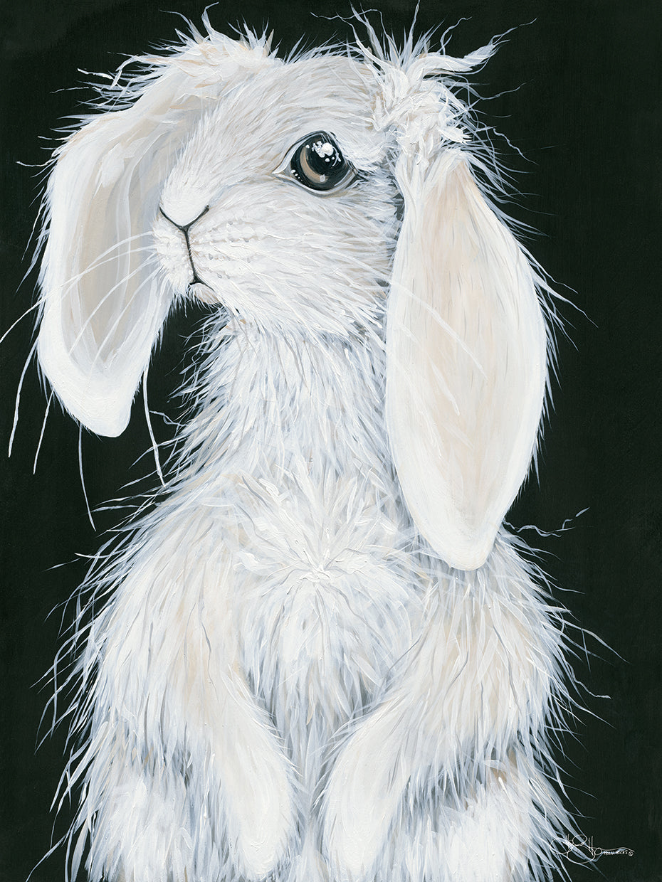 Bunny
