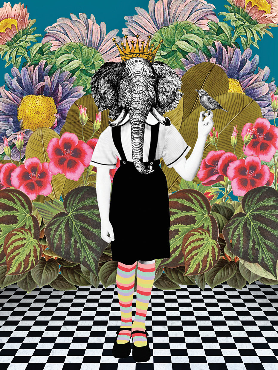Jungle Passes